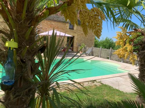 maison avec piscine perigord NOIR - Location saisonnière - Les Eyzies