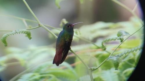 Santa Juana Lodge & Nature Reserve