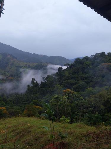 Santa Juana Lodge & Nature Reserve