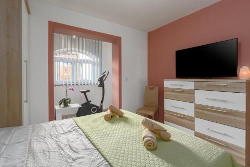 Apartman Daniel, Tar (foto 9)