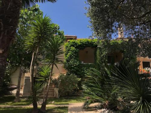 La petite palmeraie near Les Potiers
