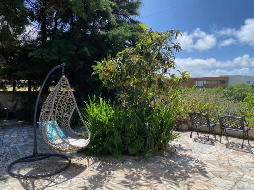 tuin, House of green leaves in Varzea de Sintra