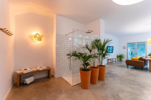 Loft spa con piscina climatizada salada Figueres