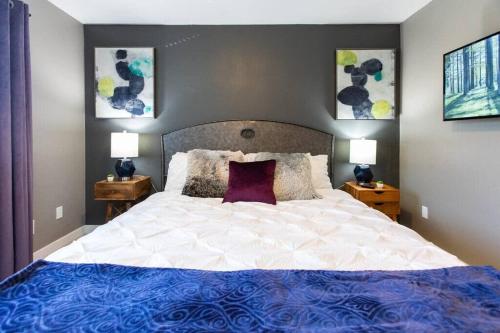 Healthcare-Professionals-King-FreeParking-Wifi-Pet in San Diego, USA