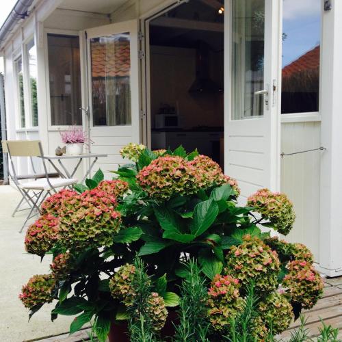  Tiny House Madame Jeanette, Pension in Zandvoort