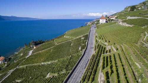 Accommodation in Vaud