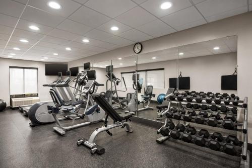Holiday Inn Express Hotel & Suites McDonough By IHG - 피트니스 센터