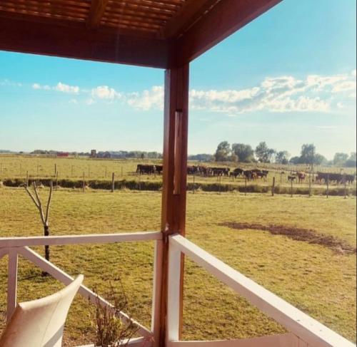 花園, Hospedaje la luna in 聖米格爾德爾蒙特