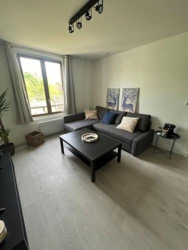 Charmant T3. Spacieux et cosy - Location saisonnière - Le Mée-sur-Seine