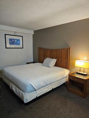 Hastings Express Inn - main image