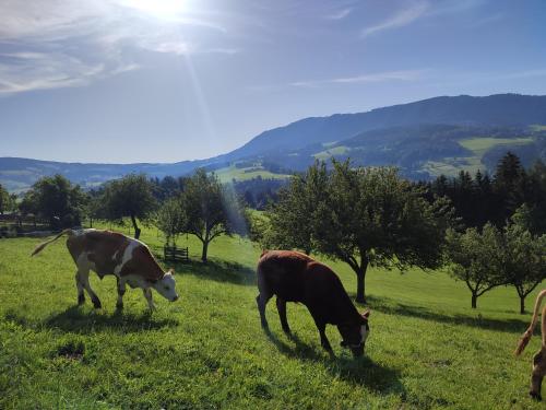 Promschhof in Semriach, Österreich