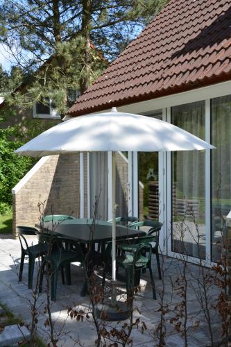 Kert, Vakantiehuis de Vennen in Vlagtwedde Parkeren voor de deur in Sellingen