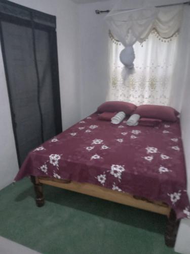 Port Antonio Brian's Beach House – Port Antonio