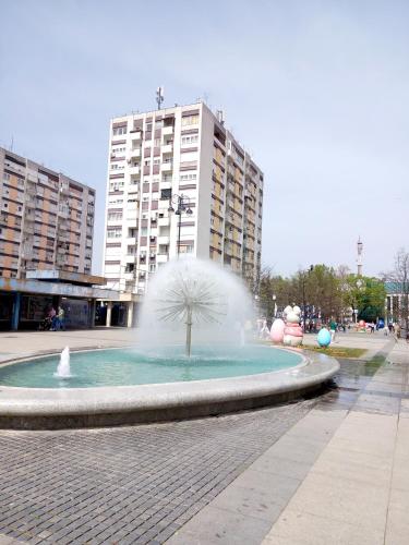 Apartment Centar - main image