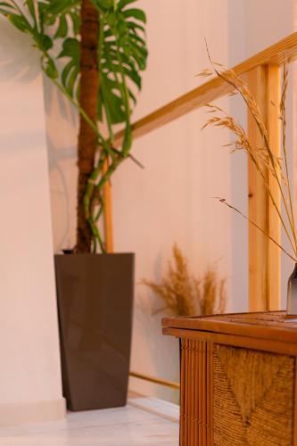 EDomus Boutique Azahar