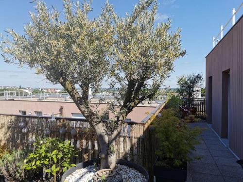 Appartement près de Versailles - magnifique vue - Location saisonnière - Fontenay-le-Fleury