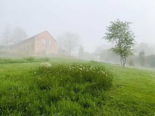 L'Impasse de Lincé