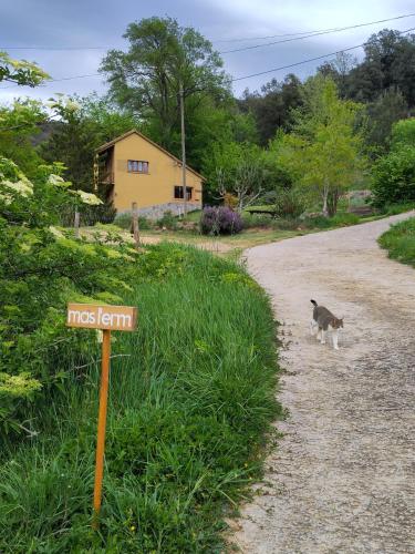 Apartament a Mas l'Erm - Apartment - Girona