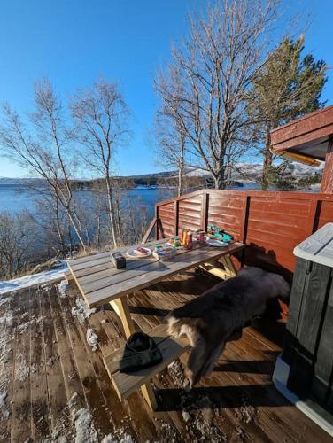 Senja - Charming cottage by the sea with terrace and fantastic view in Фіннснес