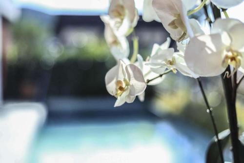 Ferienhaus mit Panoramablick Ferienhaus mit Panoramablick