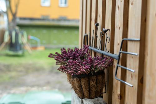 Garden Studio next to Telliskivi & Old Town Garden Studio next to Telliskivi & Old Town