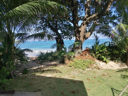 Port Antonio Brian's Beach House