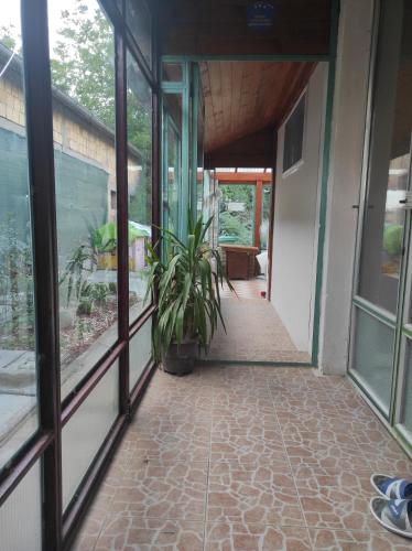 Uitzicht, Liza Panzio in Feketic