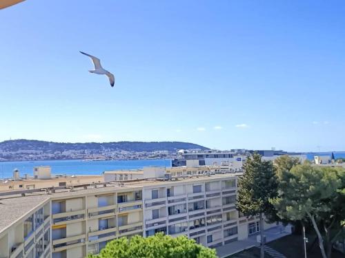 Appartement Balaruc-les-Bains, 1 pièce, 2 personnes - FR-1-571-24 - Location saisonnière - Balaruc-les-Bains