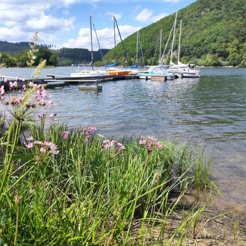 diemelseeholiday Ferienwohnung im Sauerland mit Kamin