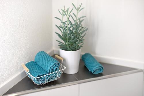 Ferienwohnung Kleeblatt