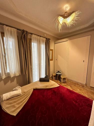 Riad Safina - Tap to explore photos