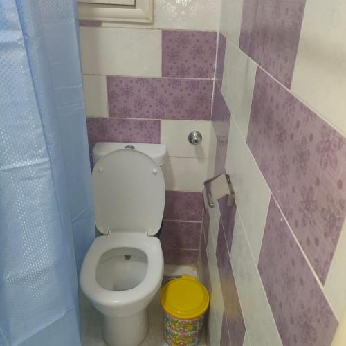 Oscar luxury free WiFi 15 5