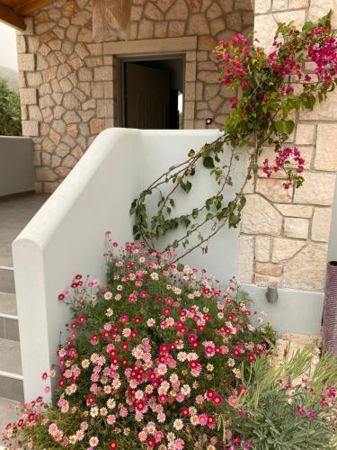 Black Pearl Apartment Lithakia Zakynthos
