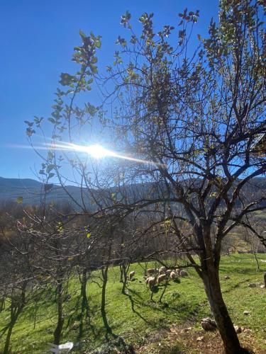 Apartman Kremen in 古特里維