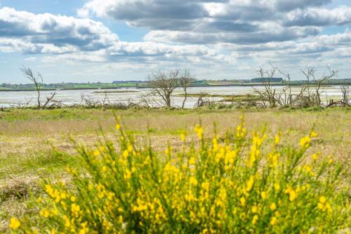 Marsh View - image 8