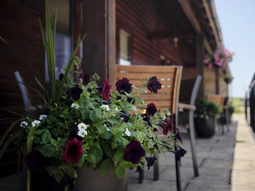 The Frome Cottage The Frome Cottage