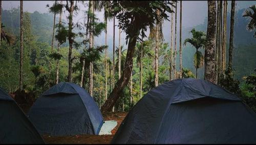 Tropical camping wayanad