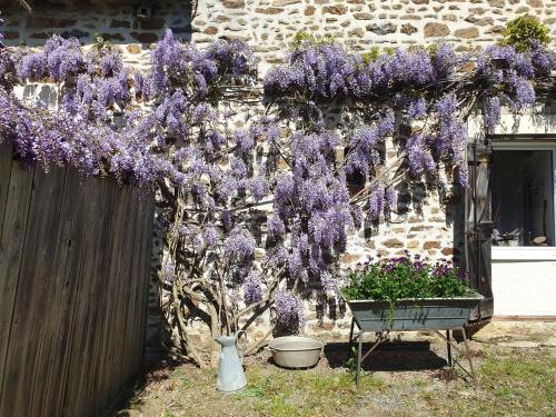 Fermette dans les pays de la Loire gîte à louer Sainte-Gemmes-le-Robert