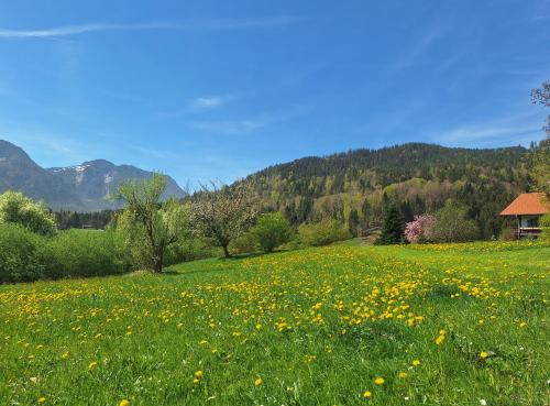 Karsten Gauselmanns Heißenhof Hotel garni