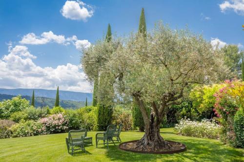 Wonderful house in Provence - Location, gîte - Goult