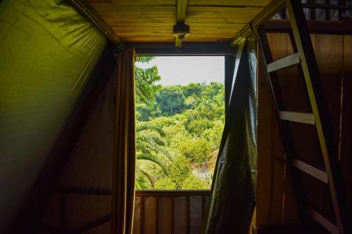 Finca Makambu - image 2