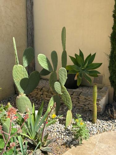 Logement cosy avec piscine ,parking et jardin