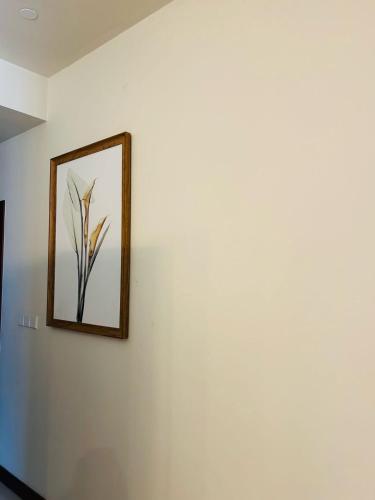 The Grand ward place super luxury 2 bedroom apartment Colombo 7 - image 4