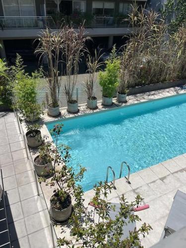 Comfy apart in Soho with pool