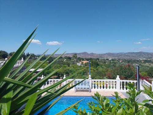 B&B Finca Sueño de Vida - Accommodation - Alhaurín de la Torre