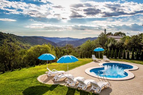 Istrian villa with four bedrooms, three bathrooms, private pool, table tennis, free Wi-Fi and parking, view of beautiful nature