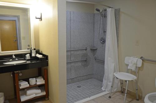 Comfort Suites Salem-Roanoke I-81 - image 6