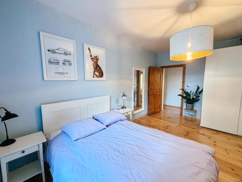 Apartament Curie