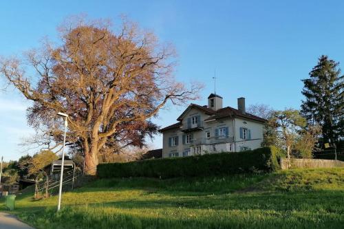 Seesicht und charmante Wohnung bei Hanni und Ueli