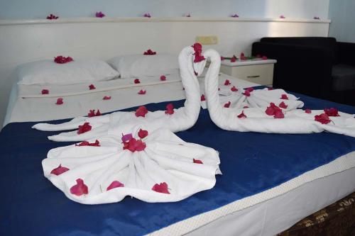 Ares Blue Hotel Room Type - Standard Double Room